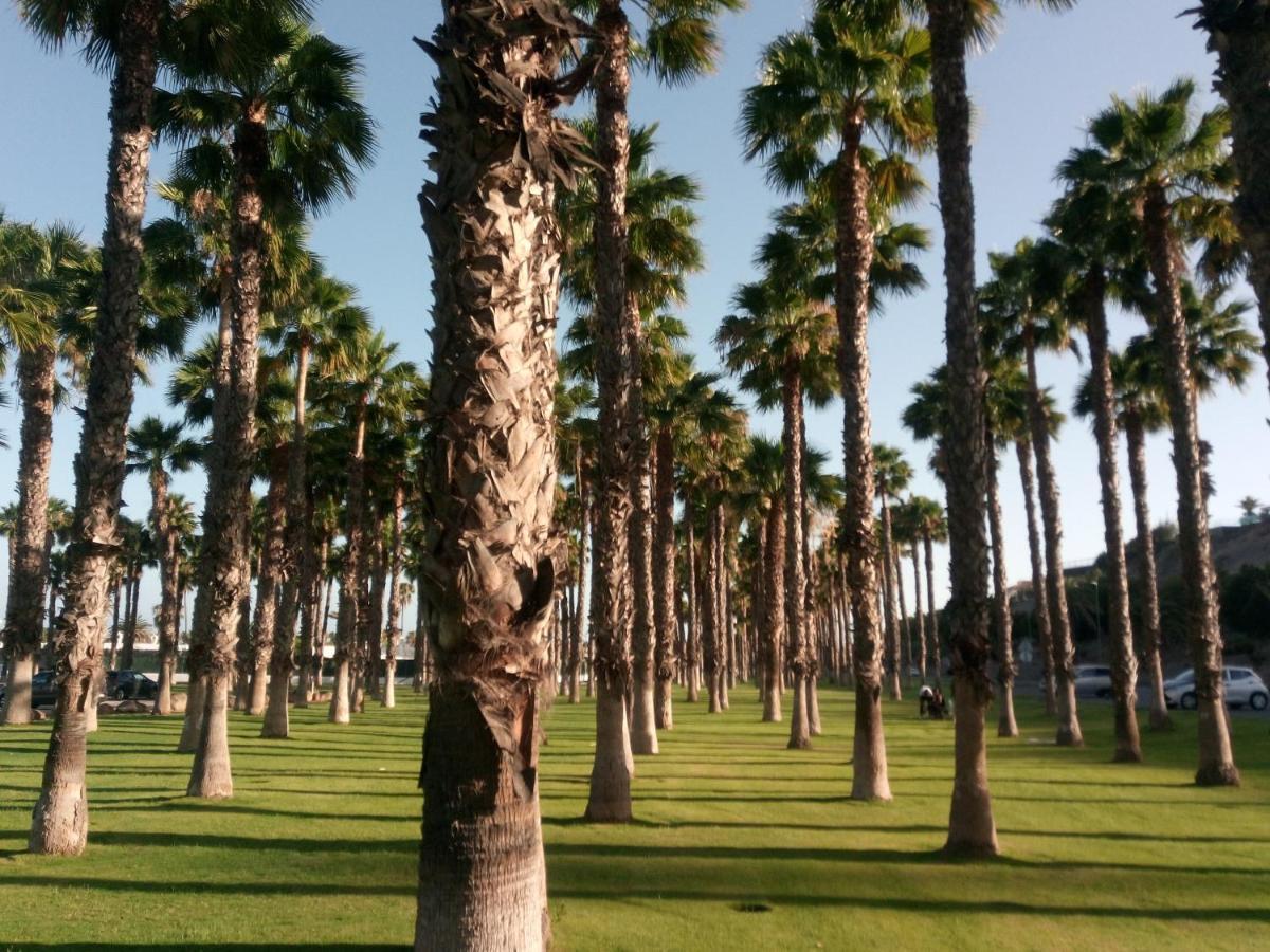 Garland Agaete Parque Playa del Inglés